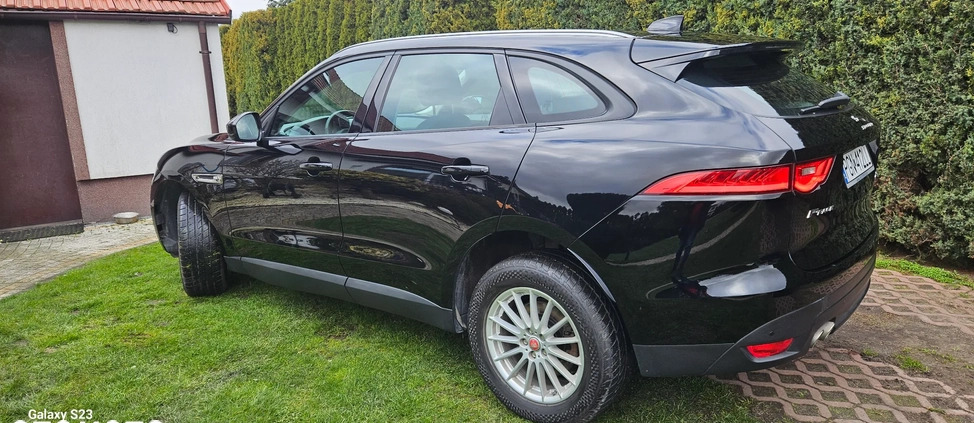 Jaguar F-Pace cena 102900 przebieg: 125150, rok produkcji 2018 z Trzemeszno małe 704